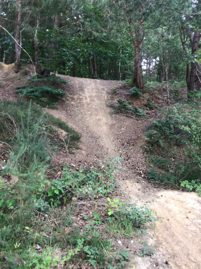 Earth slope on mountain bike trail between trees at Hawley Lake 