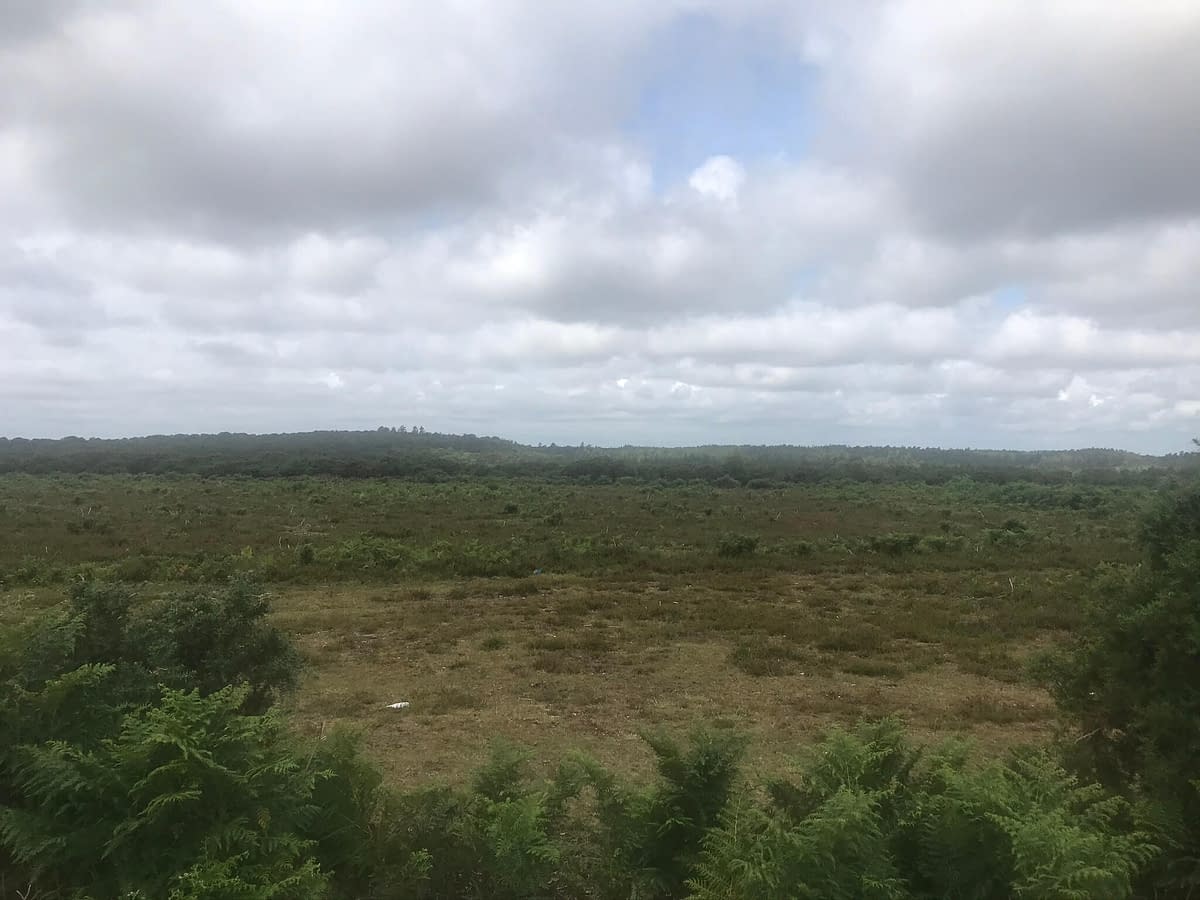 View across open ground under blue sky with clouds at Bolderwood New Forest