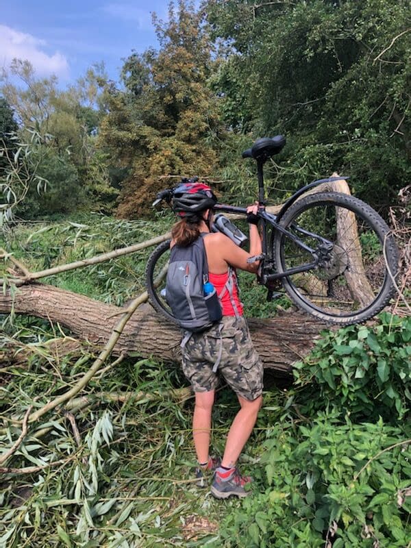 Woman in shorts and t-shirt lifting a mountain bike over a fallen willow tree 